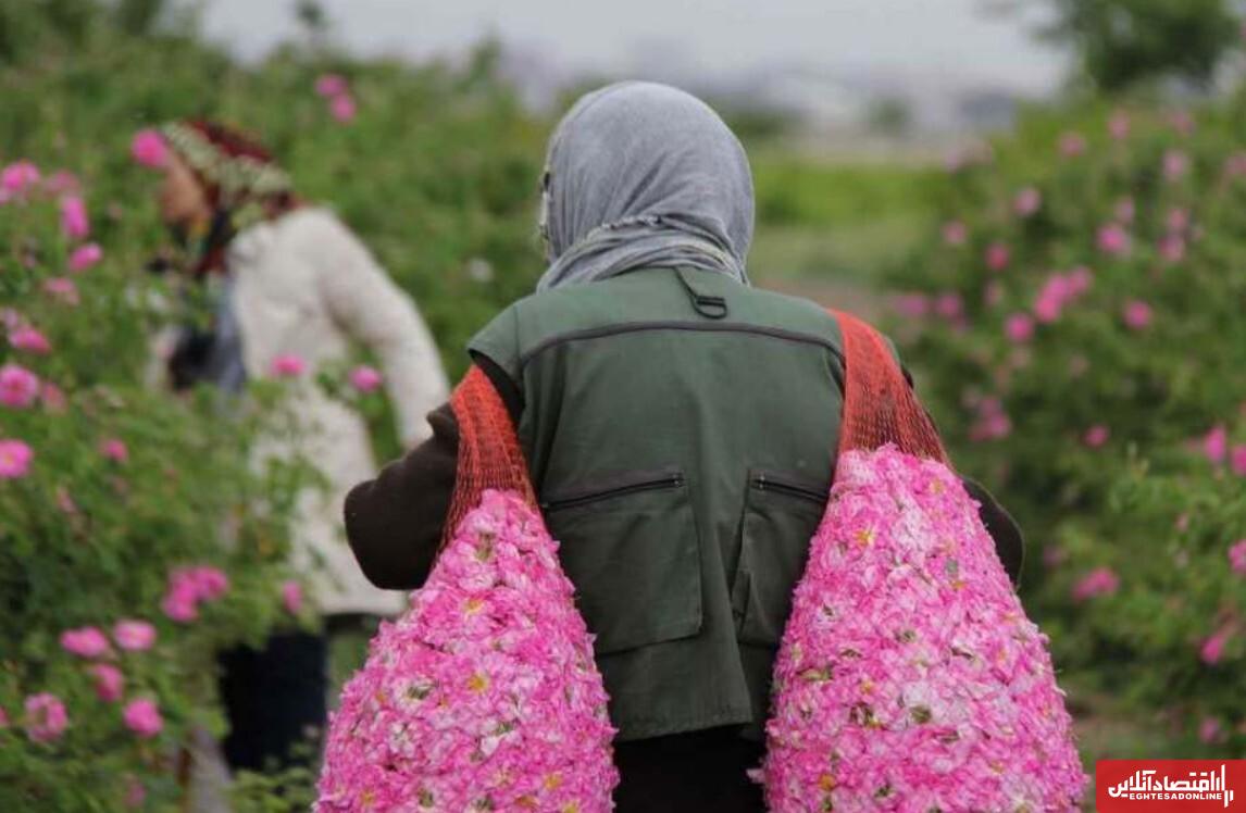 عربستان میراث ایرانی را مصادره کرد / خیانت تاریخی پس از ۲۲ سال! عربستان میراث ایرانی را مصادره کرد / خیانت تاریخی پس از ۲۲ سال!