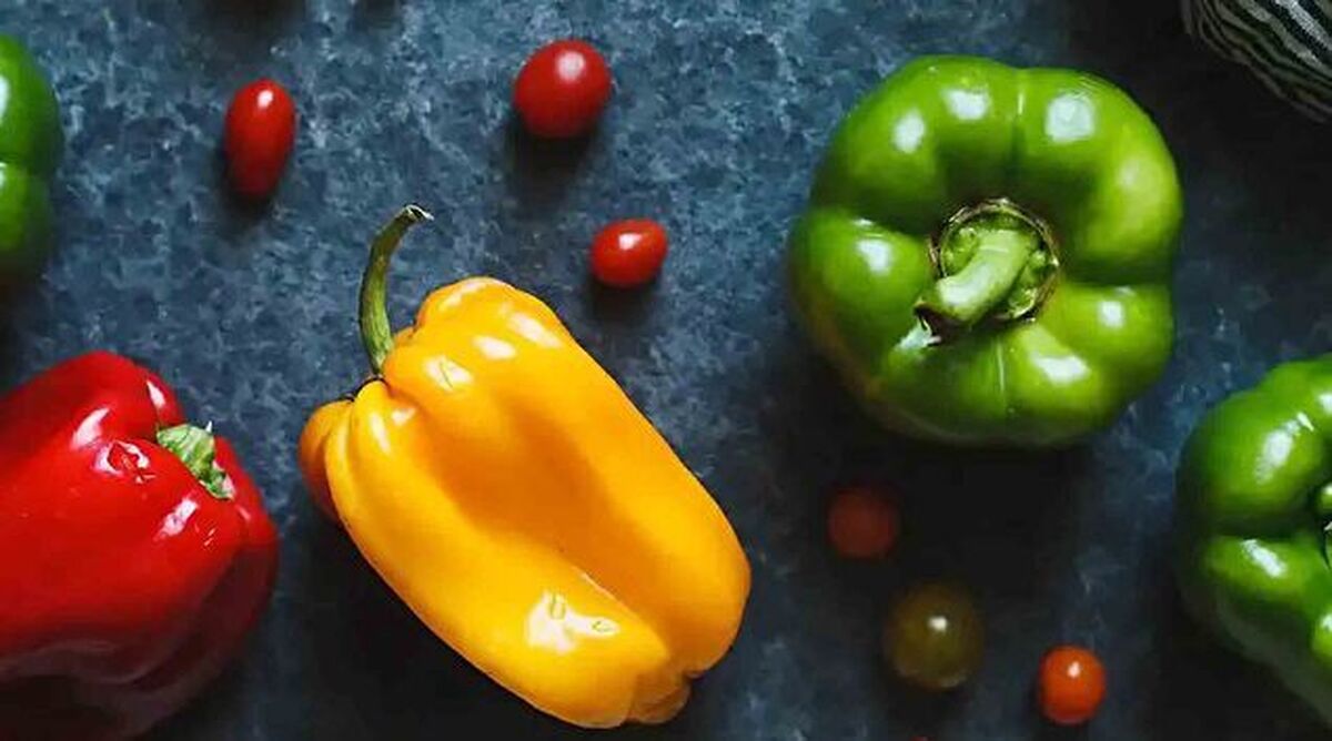 اصرار سعید جلیلی برای دوشیدن گاو نر + فیلم