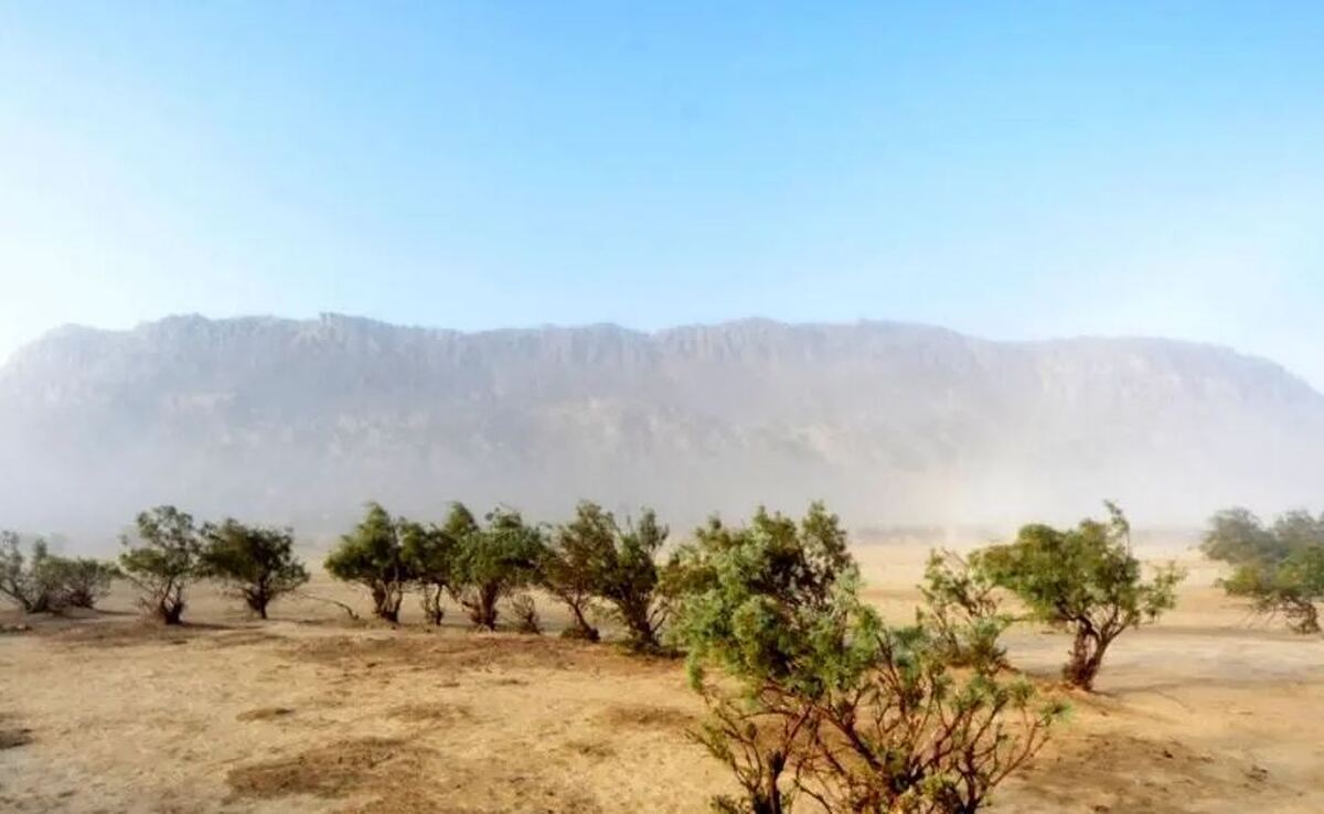هشدار هواشناسی؛ ساکنان این مناطق منتظر وزش باد شدید باشند هشدار هواشناسی؛ ساکنان این مناطق منتظر وزش باد شدید باشند