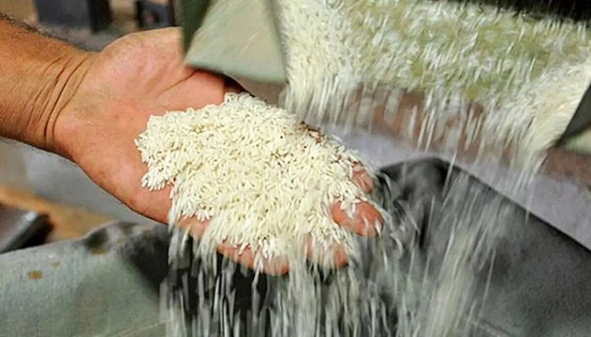 افزایش نجومی قیمت برنج در بازار امروز/ شوک بزرگ در بازار برنج افزایش نجومی قیمت برنج در بازار امروز/ شوک بزرگ در بازار برنج