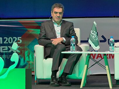 رشد اقتصادی ایران حاصل فشار رانت‌ها نه بهره‌وری