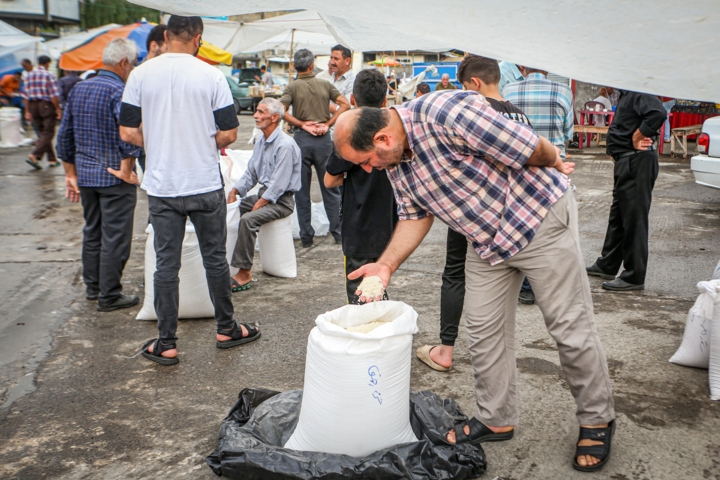 روش تشخیص برنج اصل از تقلبی