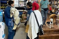 از عجایب لاکچری بازی در تهران؛ از کتلت تا پیتزا مخصوص/ رونمایی از کافه سگ‌ها در تهران! +عکس