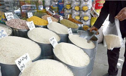 قیمت برنج ایرانی سر به فلک کشید؛ طارم هاشمی ۳۳۵ هزار تومان شد!