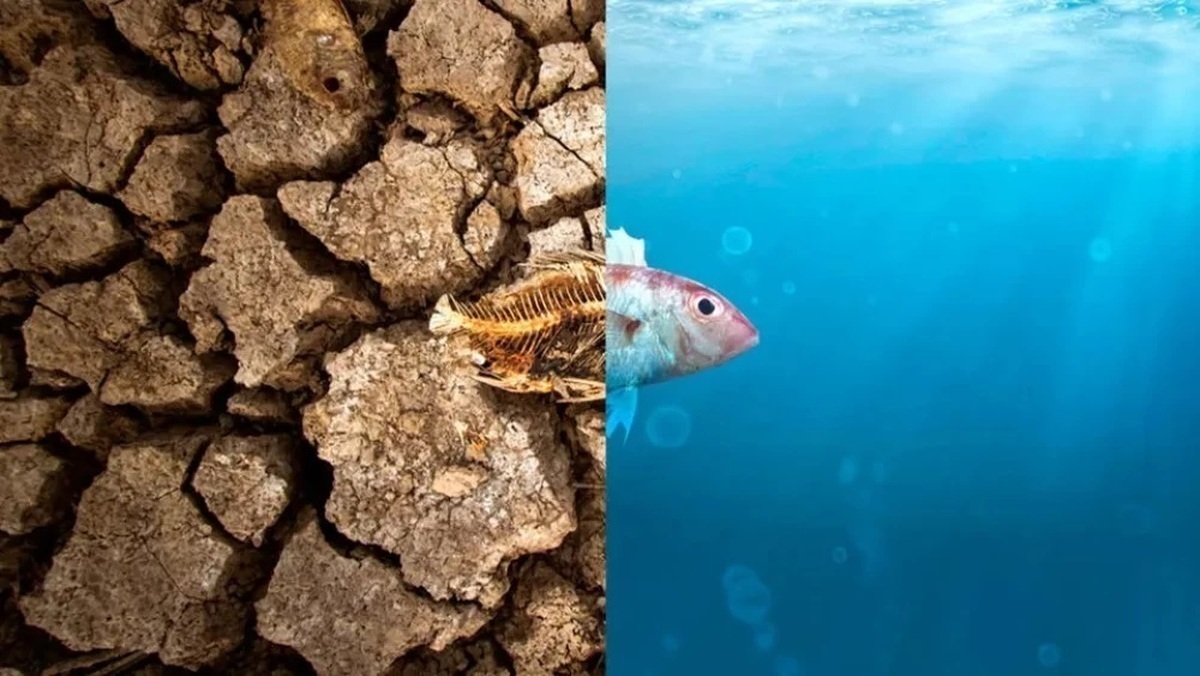 فاجعه در راه ایران/ اشتباه محمود احمدینژاد تکرار شد! فاجعه در راه ایران/ اشتباه محمود احمدینژاد تکرار شد!