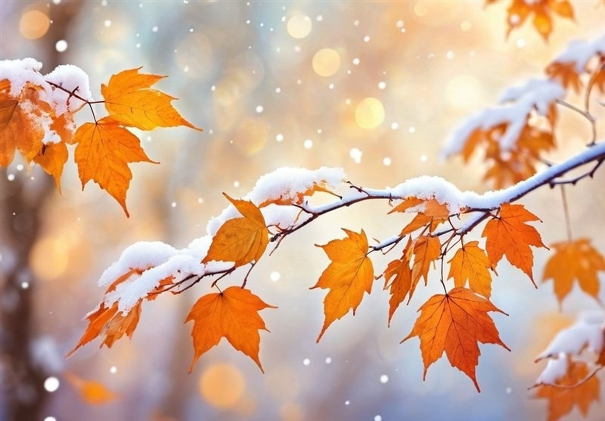 بارش اولین برف پاییزی / این منطقه از کشور سفید شد + فیلم