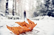 بارش اولین برف پاییزی / این منطقه از کشور سفید شد + فیلم