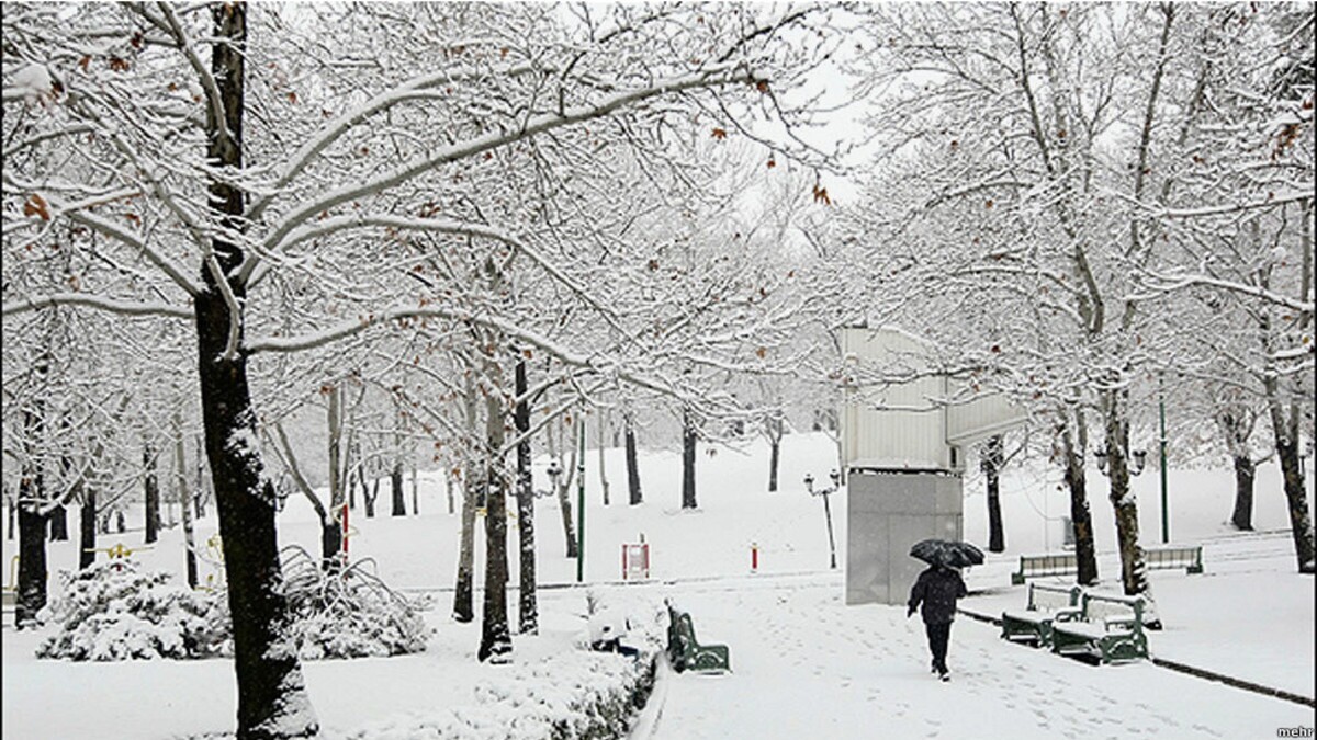 بارش برف مرز پیرانشهر را کاملا سفیدپوش کرد+ فیلم