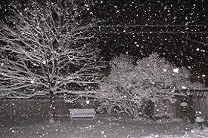 بارش اولین برف پاییزی در تهران + فیلم