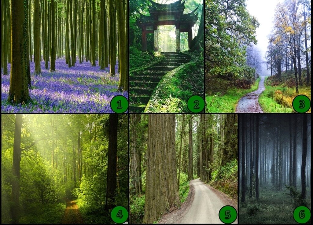 یک تصویر را انتخاب کنید تا شخصیتتان را به شما بگوییم! یک تصویر را انتخاب کنید تا شخصیتتان را به شما بگوییم!