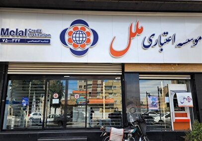 ناترازی سنگین موسسه ملل / بانک مرکزی وارد شد