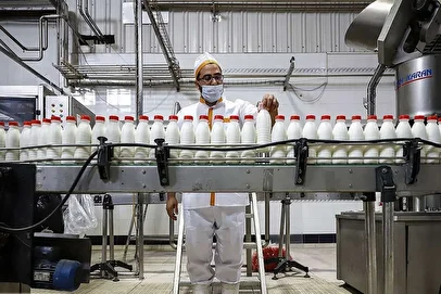 افزایش ناگهانی قیمت لبنیات؛ ماست و پنیر در صدر گرانی‌ها