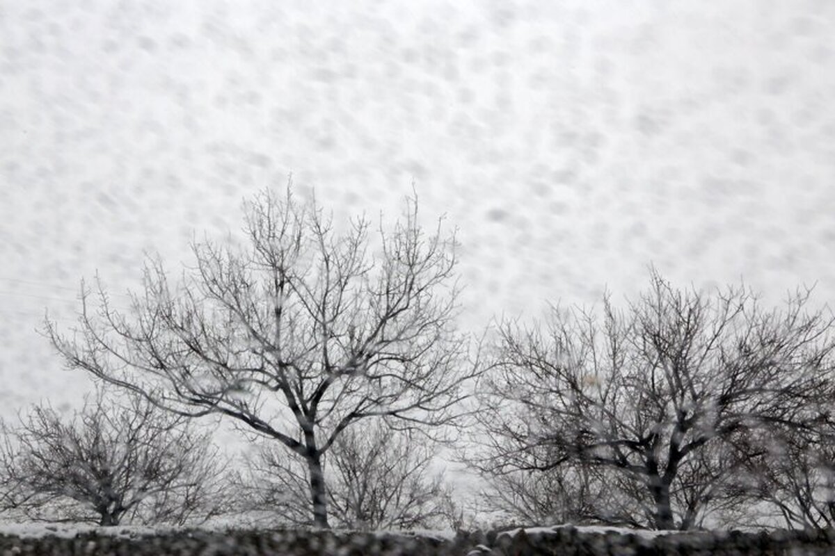 اولین برف پاییزی در شهرستان اسکو دامنه سهند+ فیلم