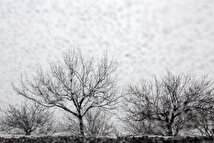 اولین برف پاییزی در شهرستان اسکو دامنه سهند+ فیلم