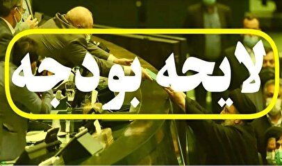 بی‌انضباطی مالی در بودجه/ چرا در مجلس به یک نوع غذا بسنده نمی‌کنند؟