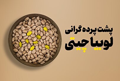 اینفوگرافیک / پشت پرده گرانی لوبیا چیتی