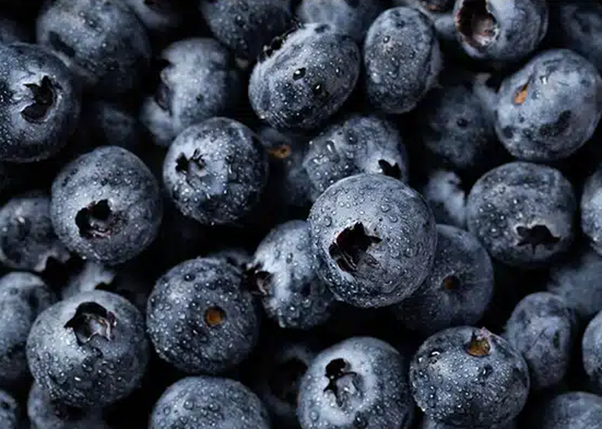 سلامتی‌ بدن با مصرف ۱۰ خوراکی/ این مواد را به رژیم غذایی خود اضافه کنید