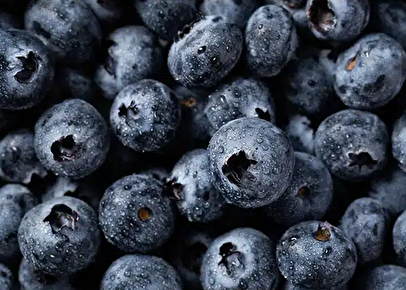 سلامتی‌ بدن با مصرف ۱۰ خوراکی/ این مواد را به رژیم غذایی خود اضافه کنید