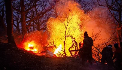 ایران دست یاری به همسایگان دراز کرد