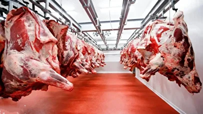 گوشت از سفره مردم پر کشید/ قیمت گوشت در مسیر گرانی بی سابقه