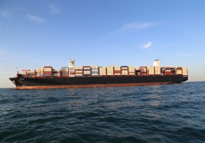 شفاف سازی «حکشتی» در خصوص ایفای تعهدات ارزی