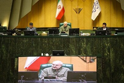 رئیس مجلس از گرانی مرغ انتقاد کرد