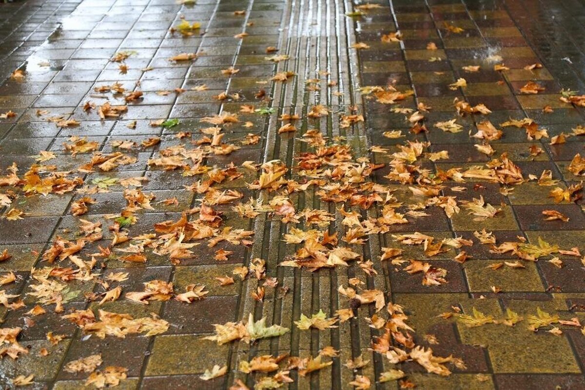 آغاز بارش پاییزی از نیمه دوم پاییز+ فیلم