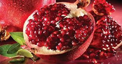 کدام شهرها بهترین انار ایران را دارند +فیلم