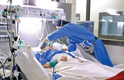 استخدام زنان در یک سازمان دولتی + آدرس ثبت درخواست