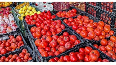 بازار بهم ریخت / گوجه فرنگی دوباره گران شد