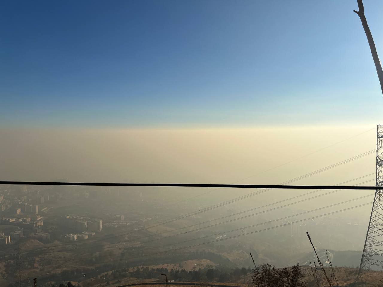 آلودگی هوا تهران را بلعید