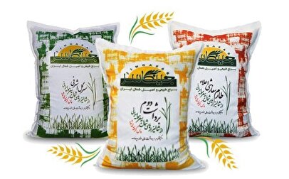 اخبار قیمت برنج؛ برنج ایرانی امروز کیلویی چند؟