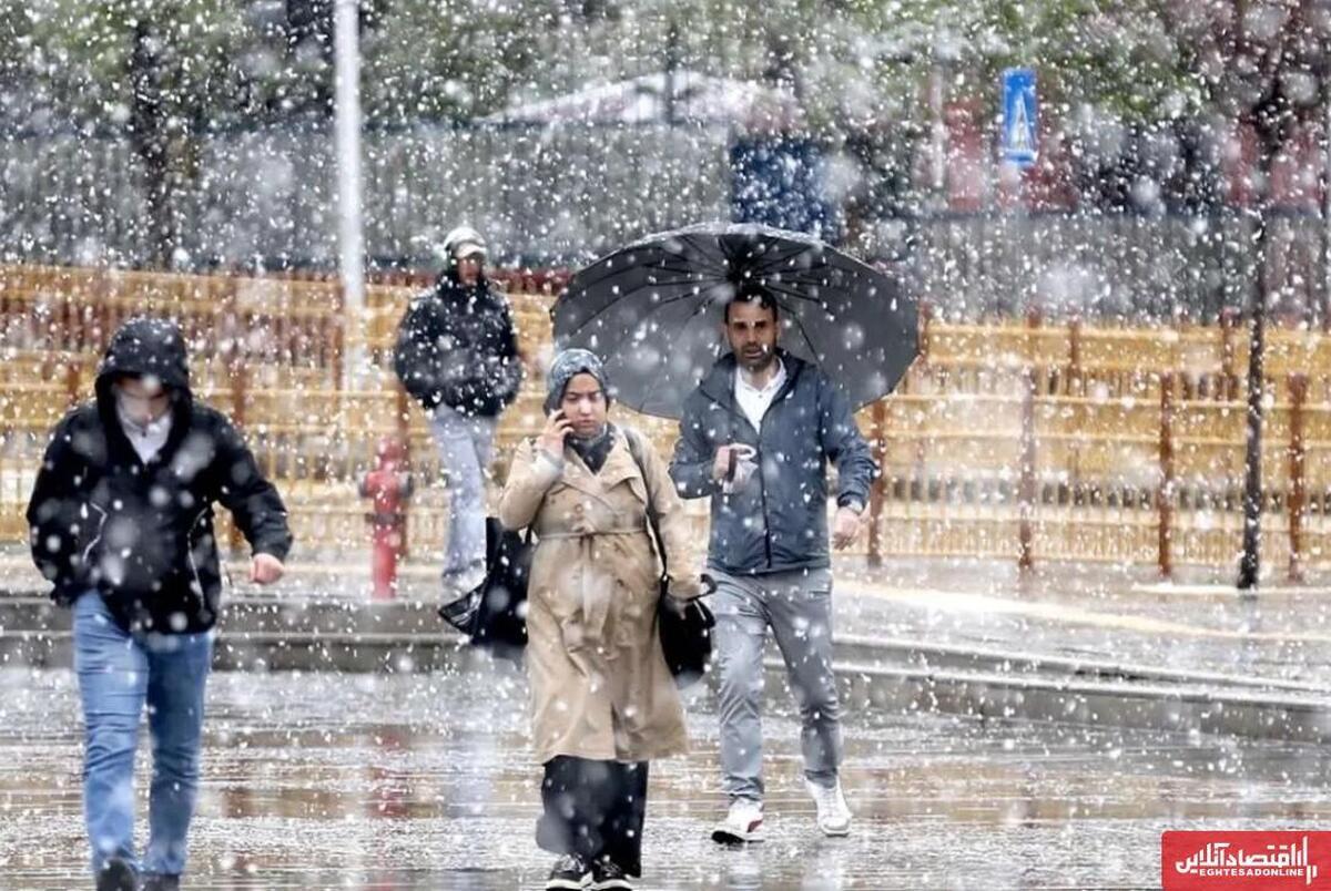 بارش برف در تهران امروز سه شنبه ۱۰ آذر ۱۴۰۴ + فیلم