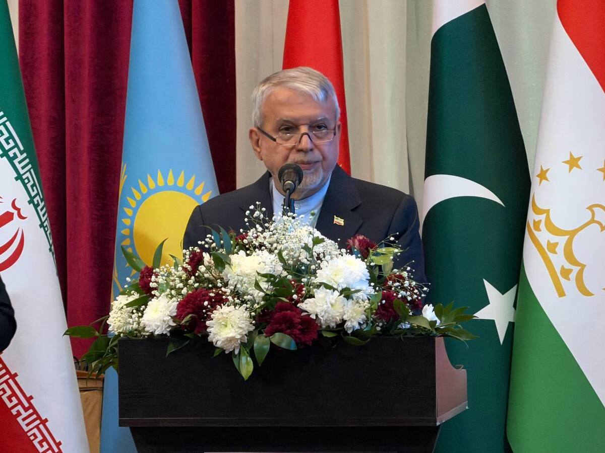 همکاری‌های اقتصادی و فرهنگی با کشور‌های اکو