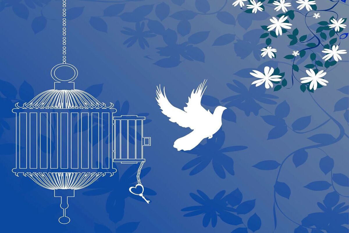 آزادی تمامی مادران زندانی جرائم مالی غیرعمد تا سقف ۲۵۰ میلیون تومان به همت بانک پارسیان