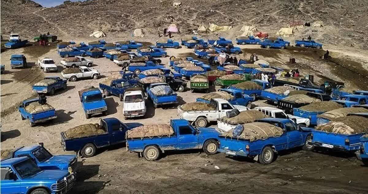 کاهش روزانه ۴.۵ میلیون لیتر قاچاق سوخت/ با متخلفان برخورد قضایی شدید می‌شود