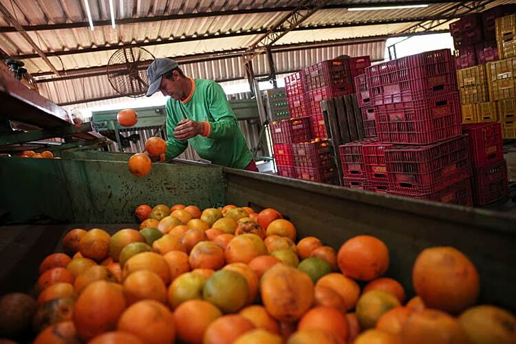 کشف خواص جدید از تاثیر باورنکردنی آب پرتقال روی ژن انسان