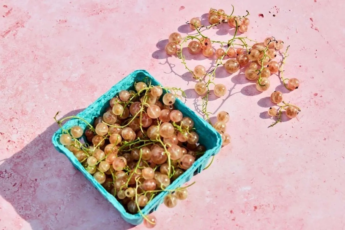 ۳ نشانه که نشان می‌دهد فیبر شما بیش از حد است