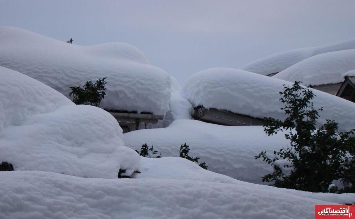 بارش برف ۱۰ سانتی‌متری در تهران/ مردم سورپرایز شدند + فیلم