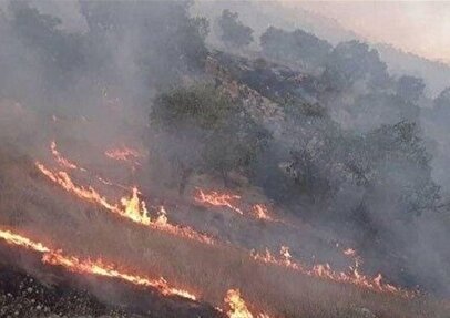 خبر خوش درمورد آتش‌سوزی جنگل‌های الیت/ خطر رفع و آتش مهار شد+ فیلم