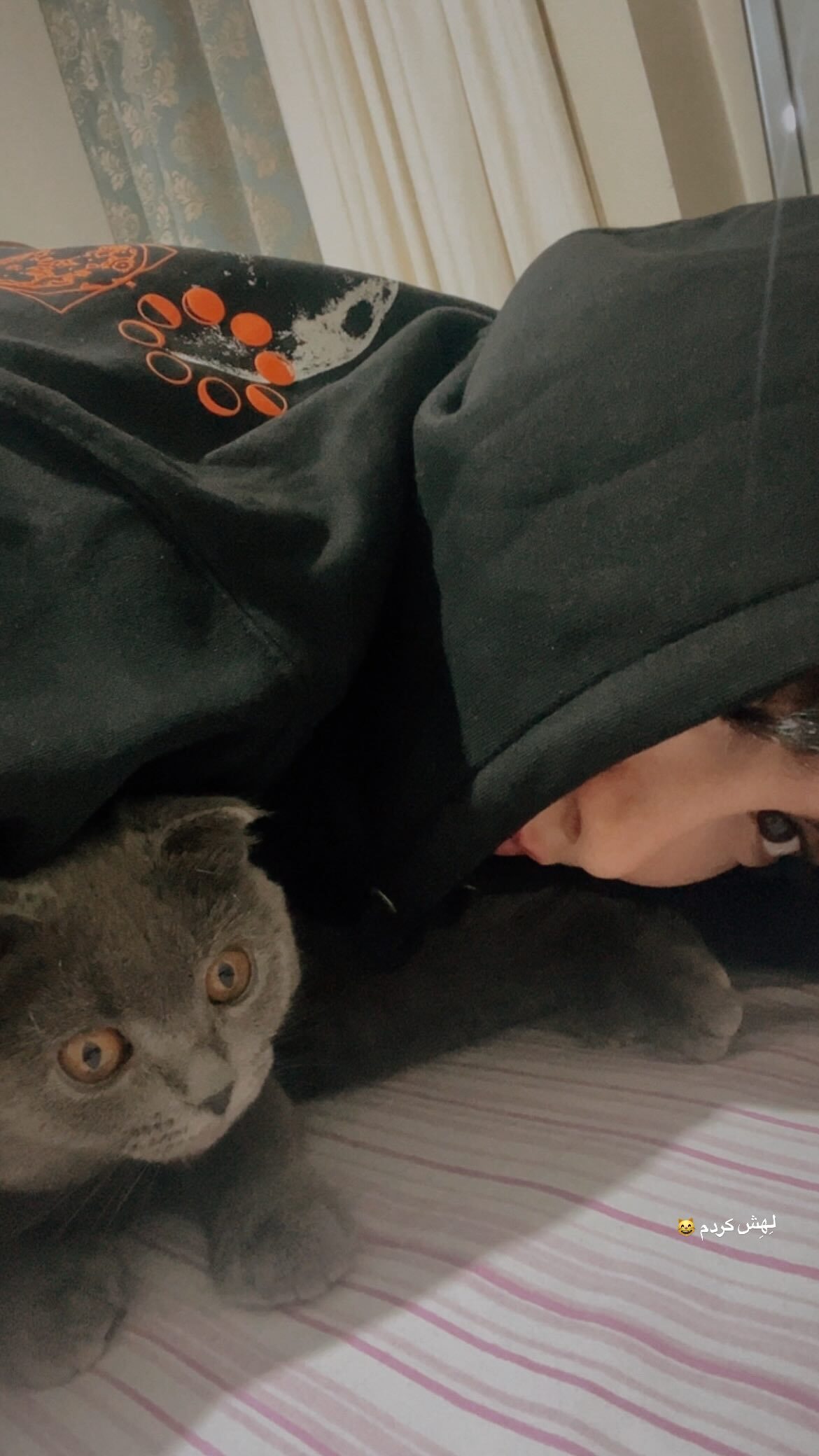 ژست بامزه سارای سریال پایتخت با حیوان خانگی‌اش