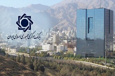 بانک مرکزی افشا کرد: پولشویی ۱۳ هزار میلیارد تومانی جوان۲۴ ساله/ ۶۰۰۰ حساب بانکی متعلق به ۲۵۱ نفر است