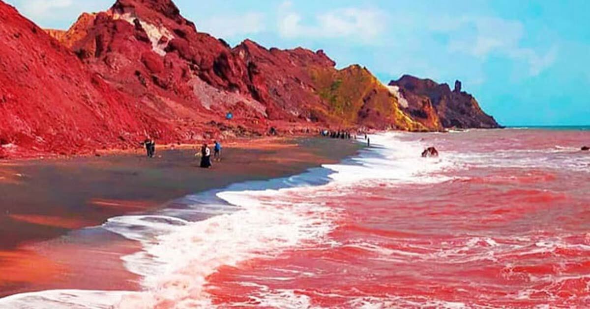 جوی خون در ساحل جزیره هرمز راه افتاد + فیلم