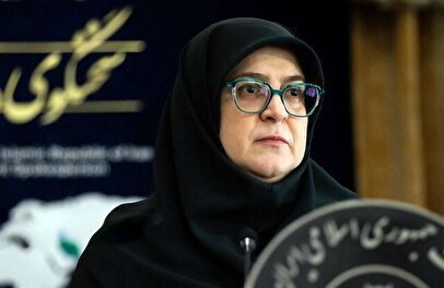 سخنگوی دولت: استعفای وزیر نفت را به‌شدت تکذیب می‌کنم+ فیلم