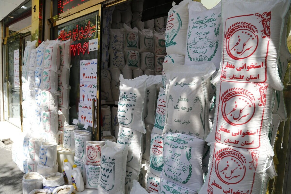 توزیع برنج ارزان با قیمت ۱۲۴ هزار تومان/ برنج تنظیم بازار کجا عرضه می‌شود؟