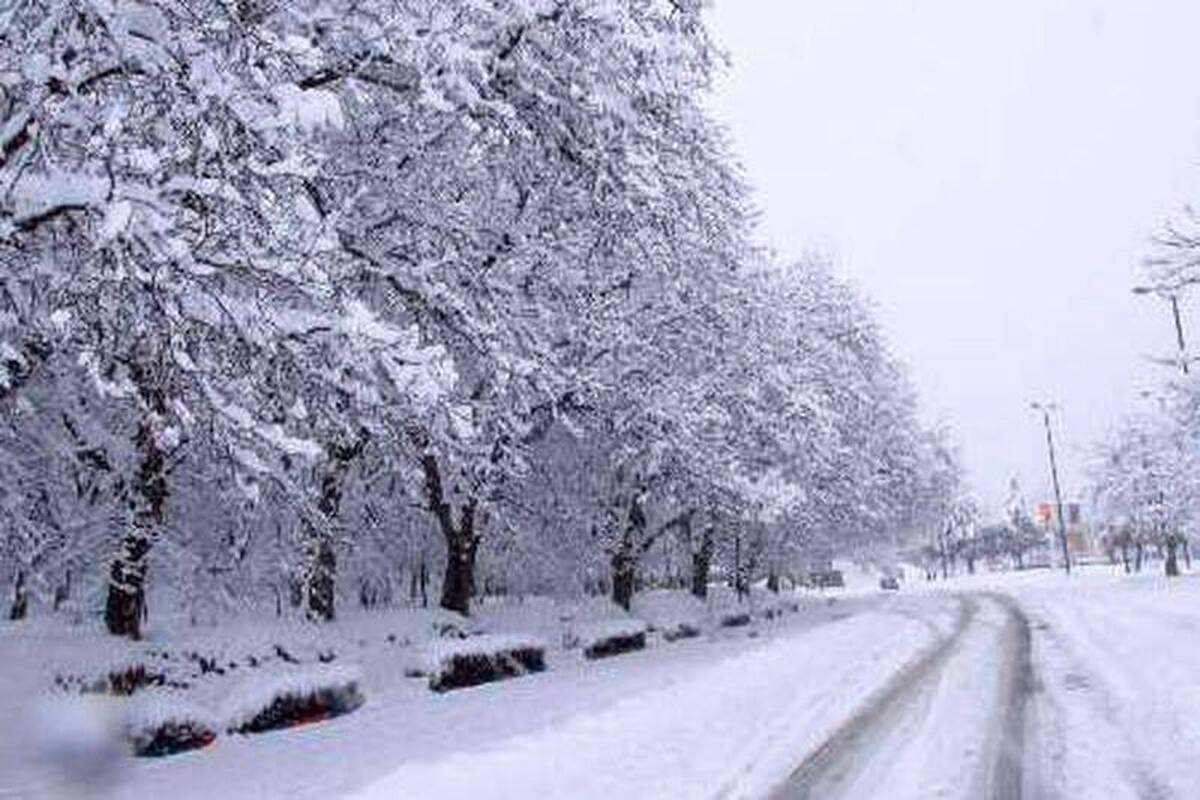 بارش شدید برف همدان را سفیدپوش کرد+ عکس