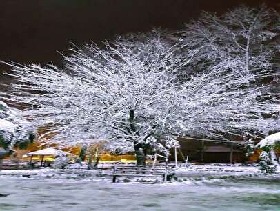 هشدار بارش برف شدید در این استان‌ها تا اول دی / بارش برف سنگین پیش‏‌بینی شد