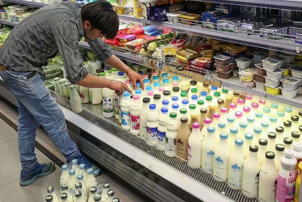 لبنیات ارزان می‌شود!/ بازگشت نرخ خرید شیر خام به قیمت مصوب دولت