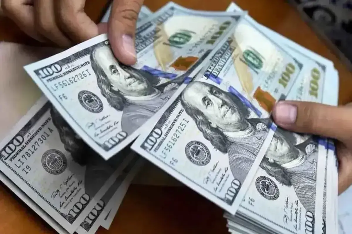 پیش فروش ارز صادراتی ابزار جدید تامین مالی+ فیلم