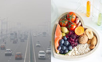 در این هوای سمی چه بخوریم؟ / خوراکی‌هایی که سپر بدن در برابر آلودگی می‌شوند